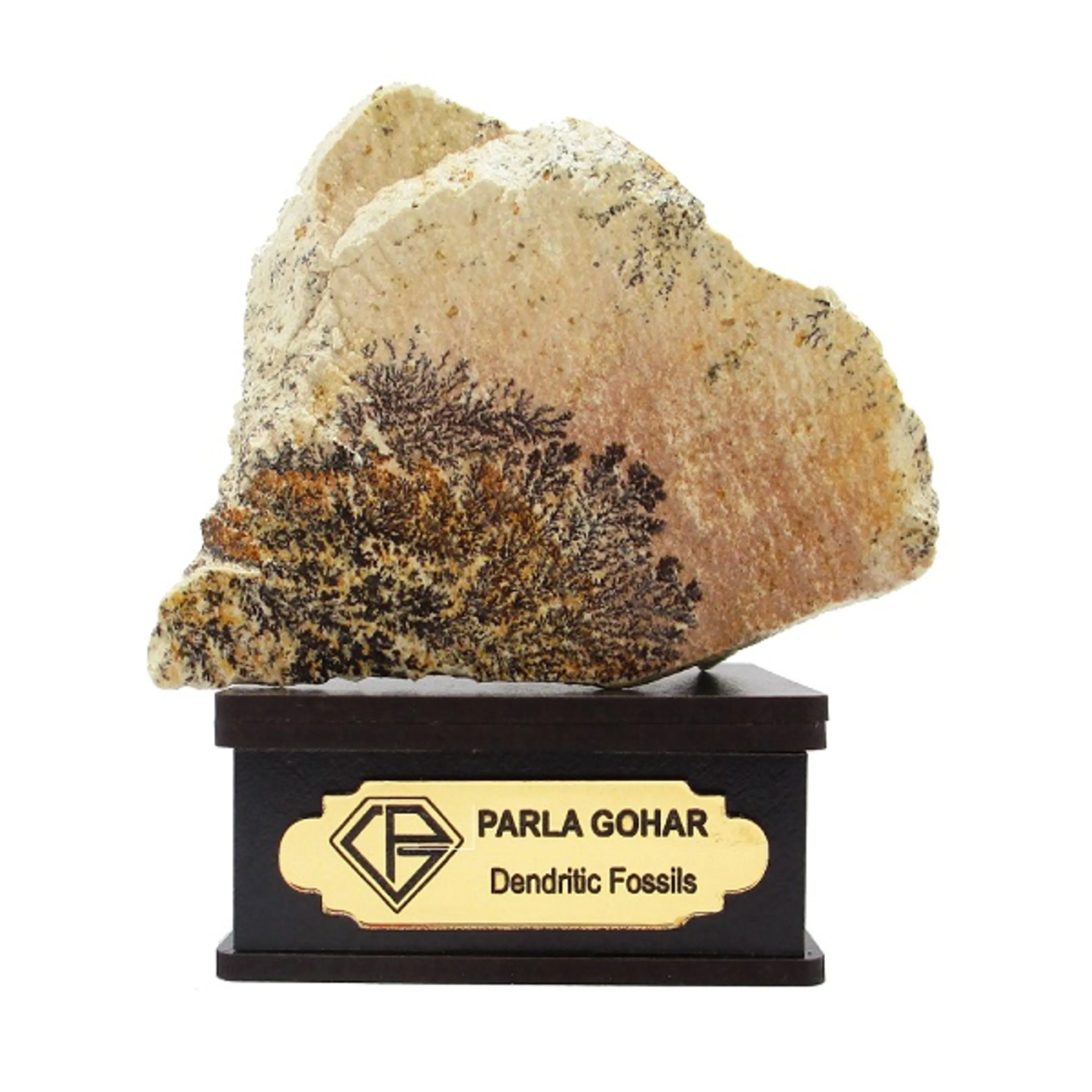 شجر راف کد 2374